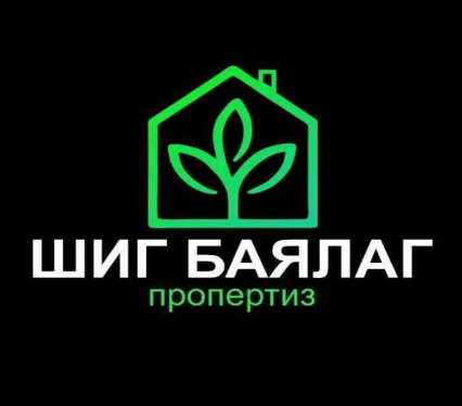 Шиг баялаг пропертиз ХХК